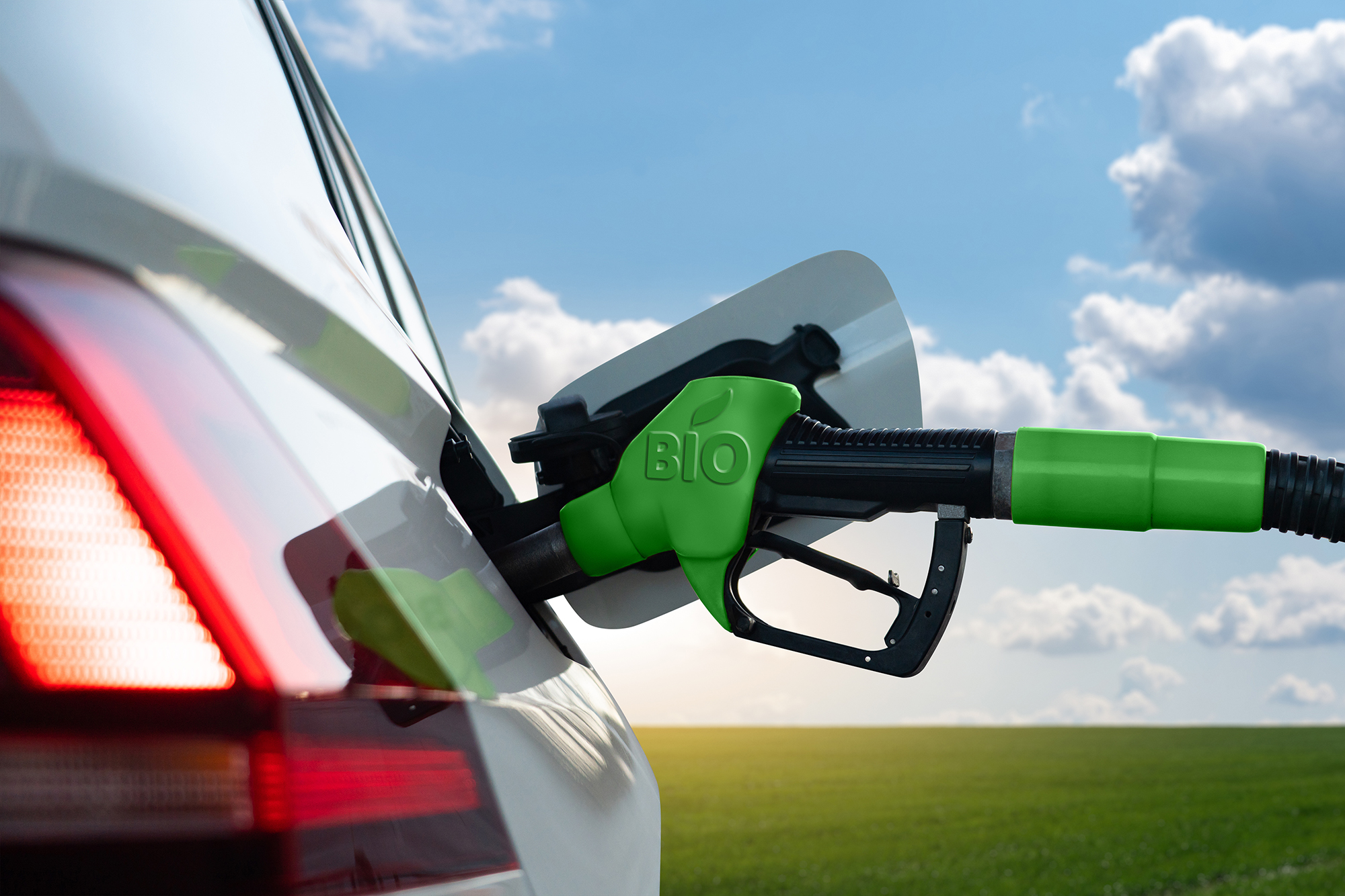 Bio Combustible